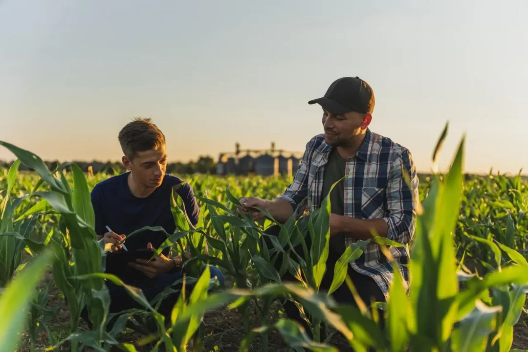 Dos emprendedores rodeados de campo trabajando